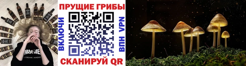 Галлюциногенные грибы ЛСД Холмск